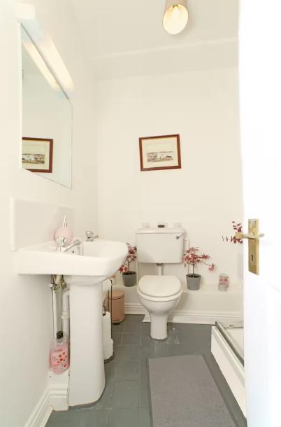 Ha'penny Bridge Entire Apartment-5