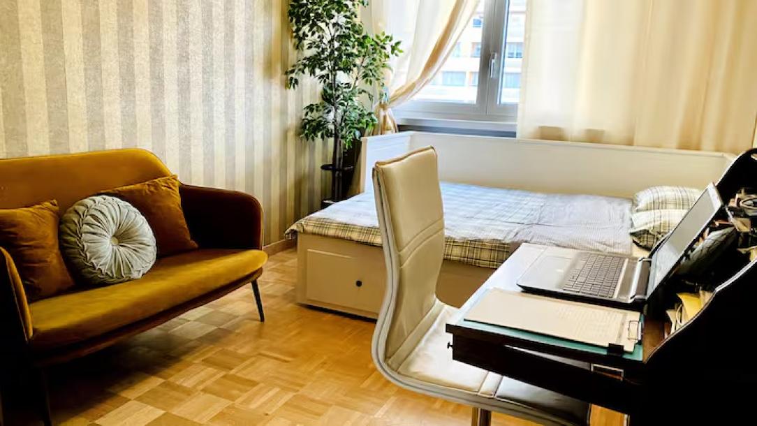 Charming in the heart of GVA WI-FI geneva-2
