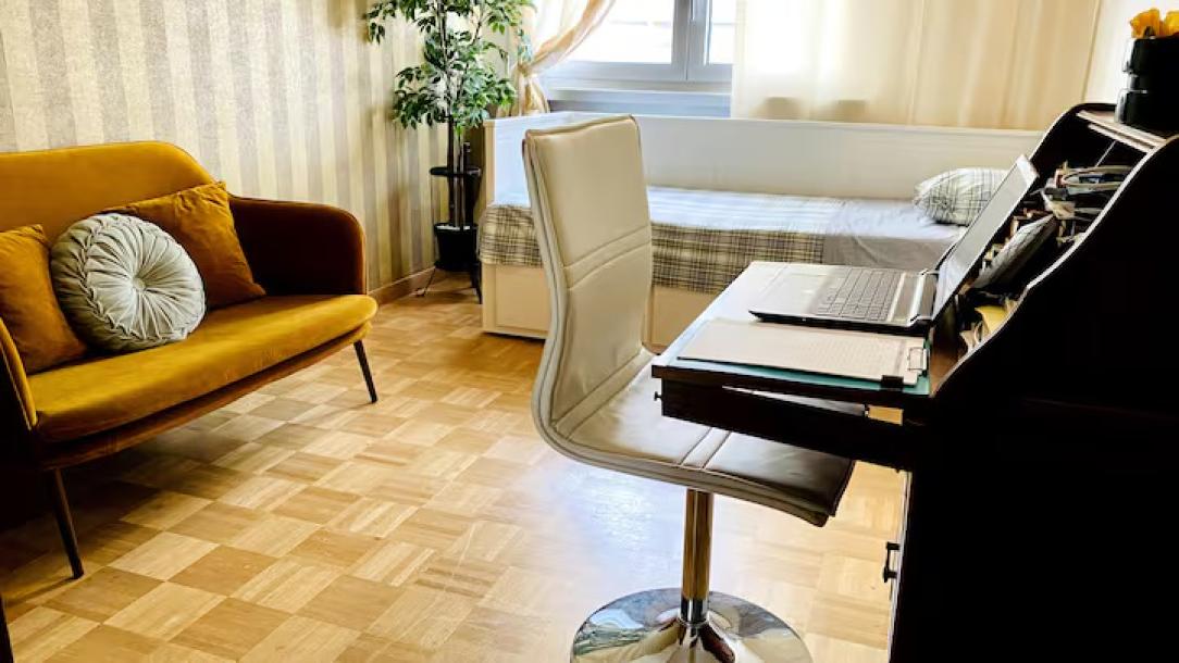 Charming in the heart of GVA WI-FI geneva-11