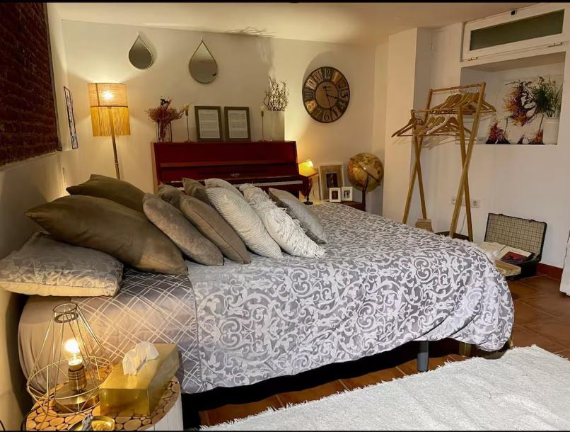 Apartment in Puente de Segovia spain madrid-9