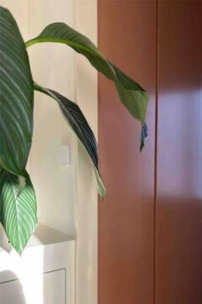 A dream apartment in the heart of Madrid-8