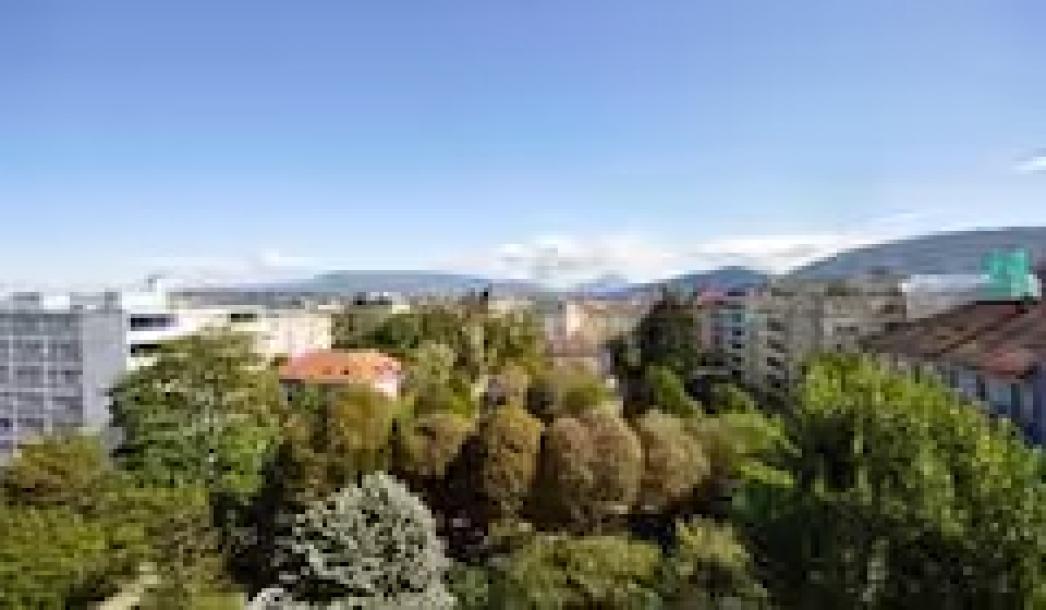 Excellent situationin geneva switzerland-4