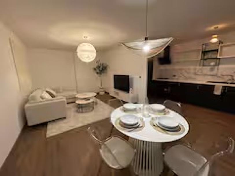 Furnished Jade room, close to customs geneva switzerland-6